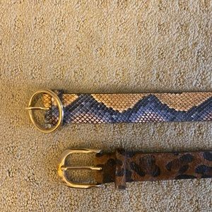 Pack of 2 printed belts